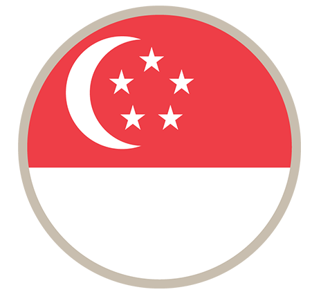 Transfer pricing - Singapore